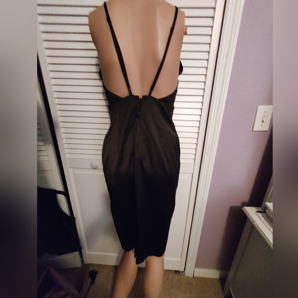 Avec Les Filles Satin Fitted Sexy Back Dress